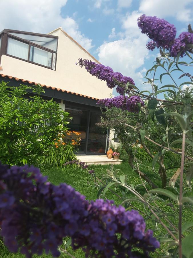 Philoxenia Bed & Breakfast Pourrieres Ngoại thất bức ảnh